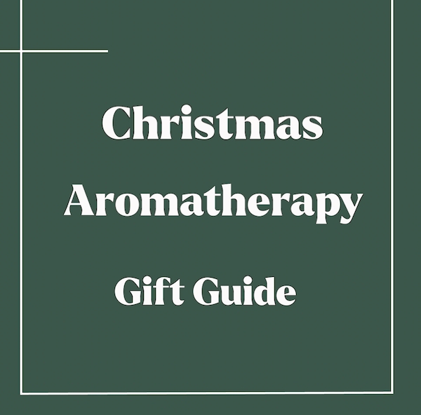 Christmas Gift Guide